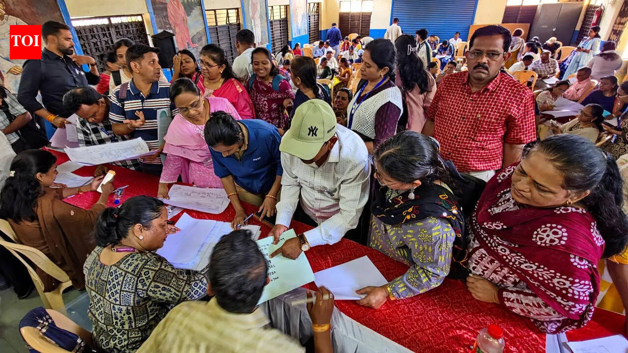 जनगणनेसाठी महाघरांची यादी ९९.५ टक्के पूर्ण, रविवारनंतर मुदतवाढ नाकारली